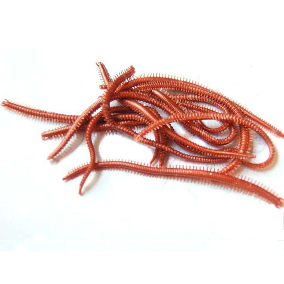 10PCS/Lot Artificial Sea Worms - Fishing Equipment Deals recension och pris