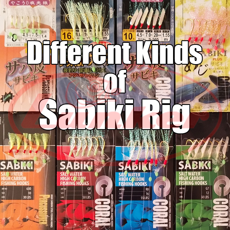 Lunker sabiki rig hooks lumino - Fishing Equipment Deals recension och pris